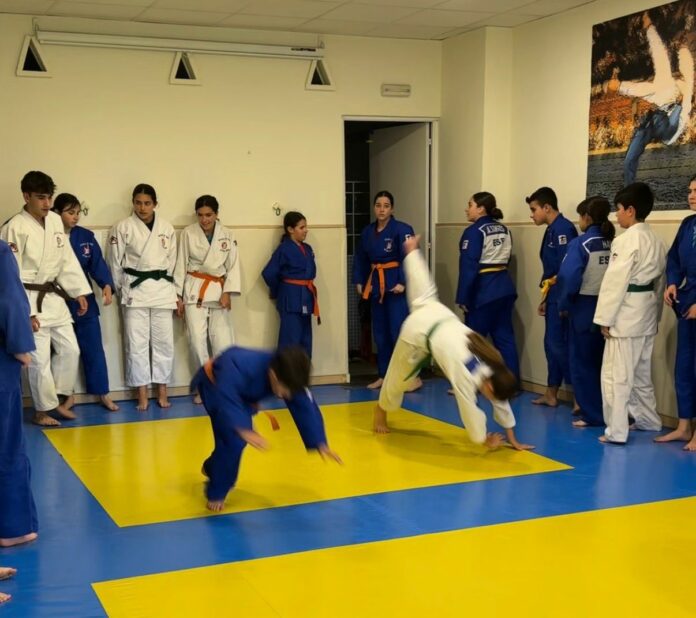 judo